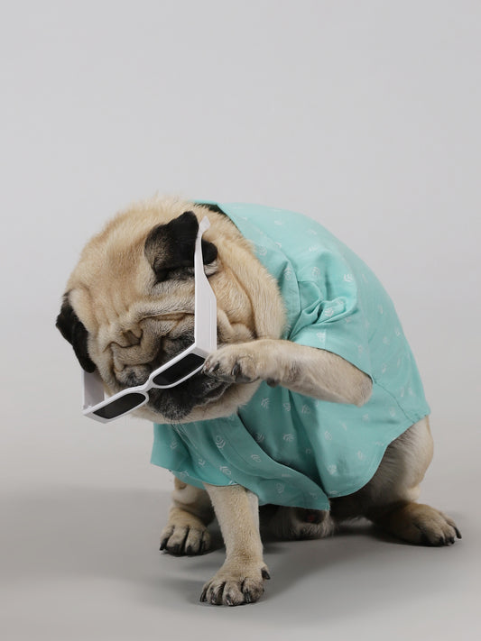 Minty Breeze Dog Shirt